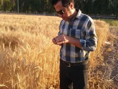 دیم‌کاری راهبردی برای عبور از بحران آب است/ ۸۲ درصد منابع آب فارس از منابع زیرزمینی تأمین می‌شود