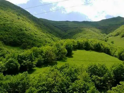 حفاظت از محیط زیست گلستان به جای زندان
