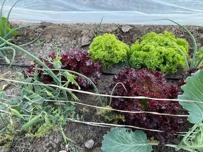 بوستان برکت مشهد پنجشنبه افتتاح می‌شود