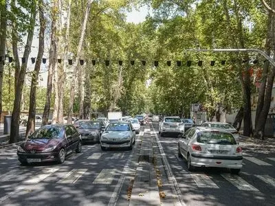 کیفرخواست متهم پرونده قطع درختان خیابان فرشته صادر شد