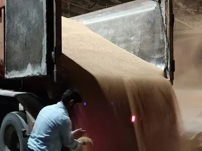 ۶۶ هزار تن ذرت دامی از انبارهای بندر امام خمینی(ره) با دستور قضایی ترخیص شد