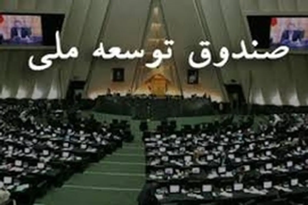 بخش خصوصی از منابع صندوق توسعه ملی به خوبی استفاده نکرده است