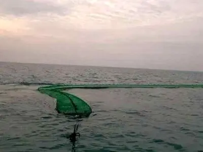 کشف قاچاق سوخت با مشک ماری