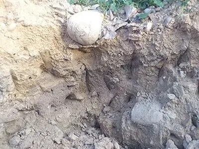 به‌هیچ‌وجه جاده‌ای از منطقه باستانی جوجی عبور نخواهد کرد/ارائه طرح جدید برای عبور سیفون کشاورزی