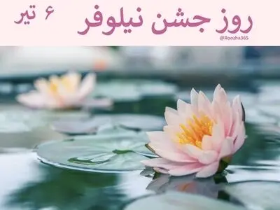۶ تیر ماه روز جشن نیلوفر است