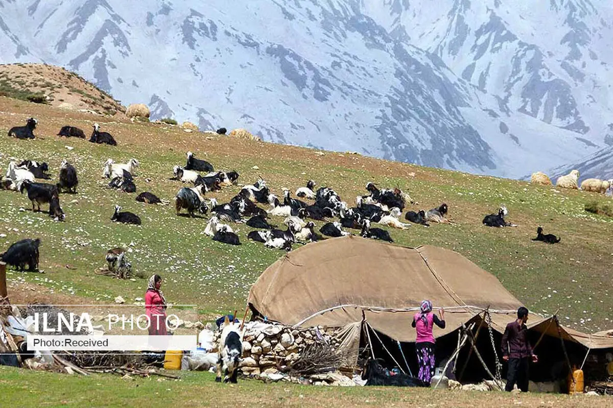 شیوع گسترده کرونا  بین عشایر دزفول/به داد عشایر نرسند، فاجعه اتفاق می افتد