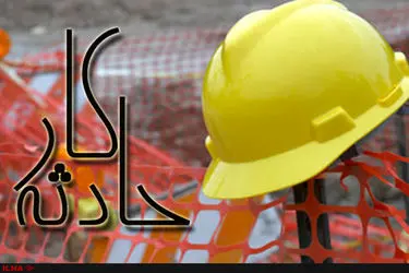 مرگ یک کارگر دامداری بر اثر حمله ناگهانی گاو