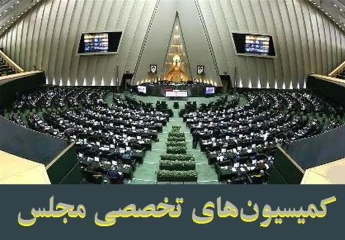 حضور کمیسیون های تخصصی مجلس در استان ظرفیت‌های فوق العاده‌ای ایجاد می کند
