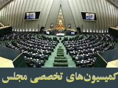 حضور کمیسیون های تخصصی مجلس در استان ظرفیت‌های فوق العاده‌ای ایجاد می کند