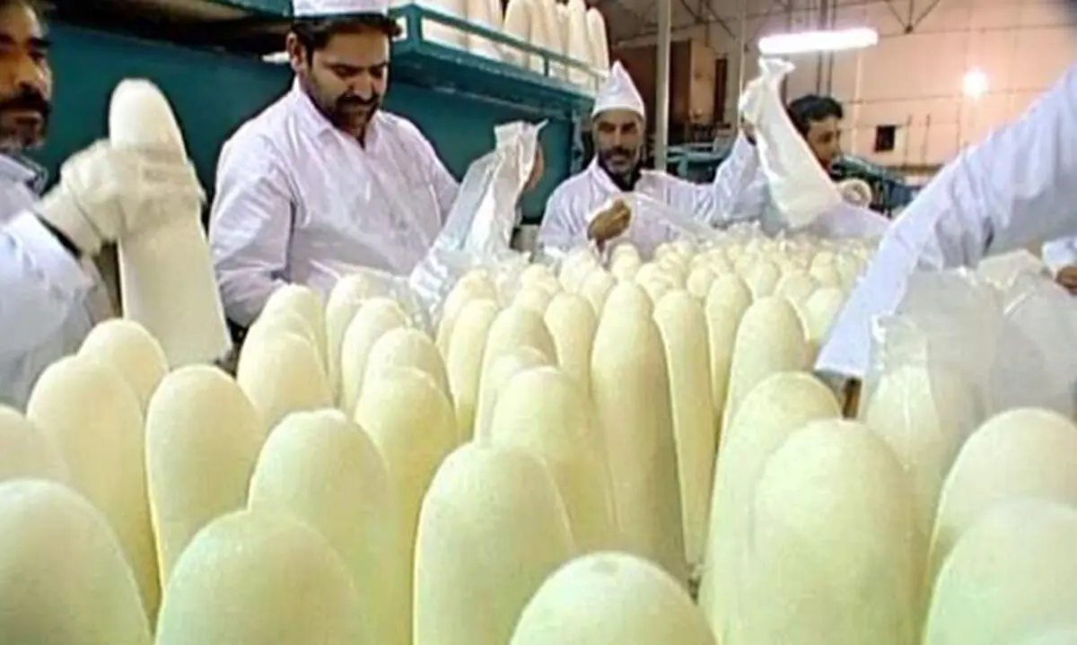 بخشی از معوقات مزدی کارگران قند تربت جام پرداخت شد 