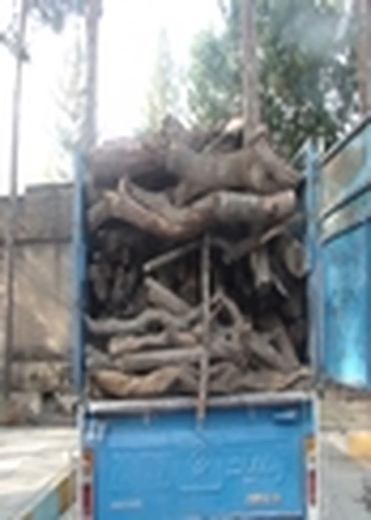کشف دو محموله چوب قاچاق درمحور جاده شیراز – اصفهان