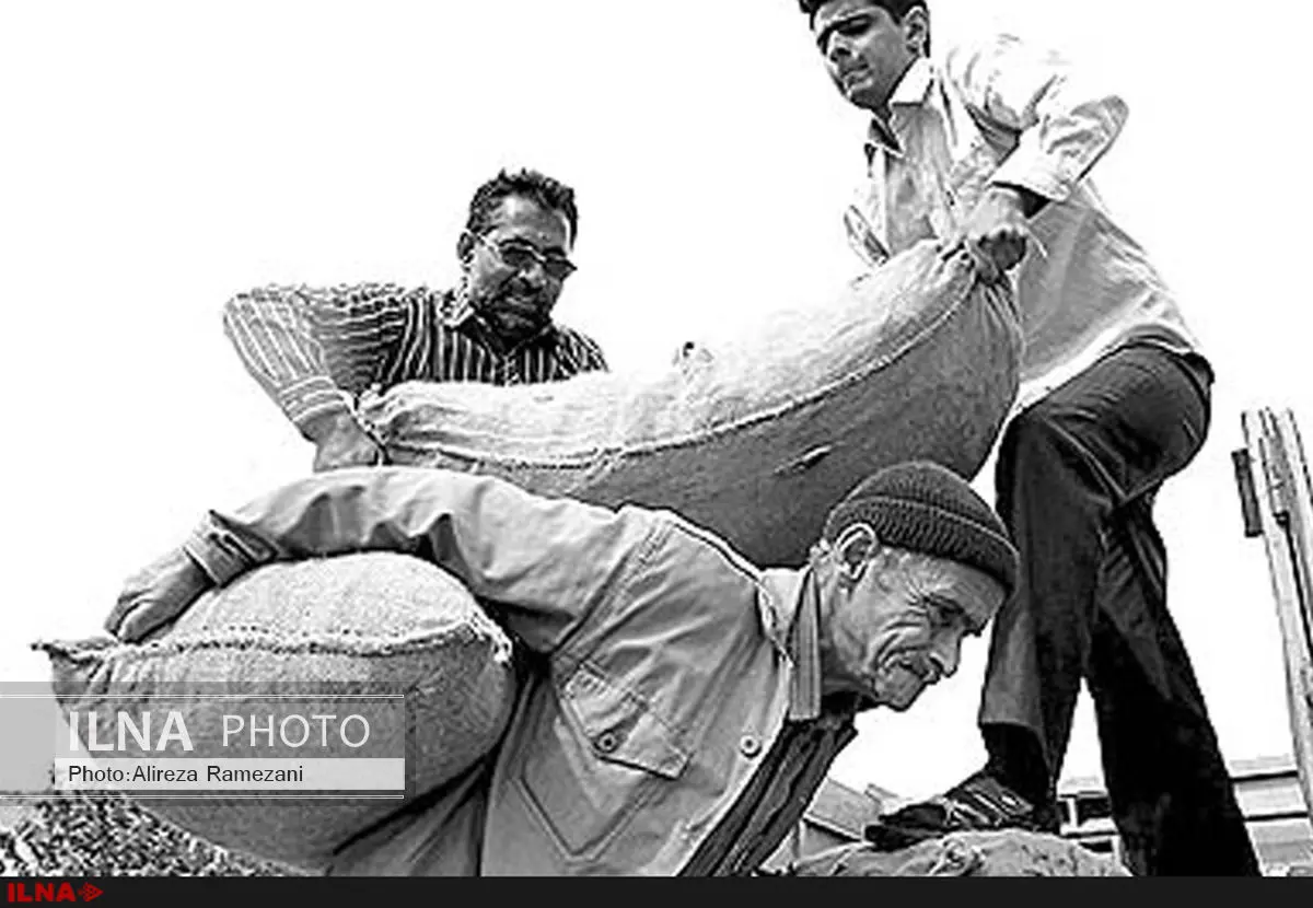 احتمال تصویب کلیات لایحه اصلاح قانون کار/معایب این لایحه باید به نفع کارگران برطرف شود