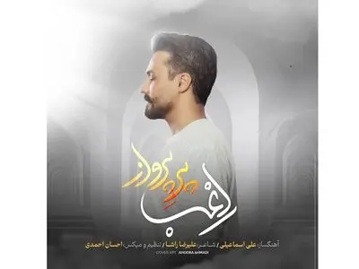 «پر پرواز» اثر جدید راغب+صوت