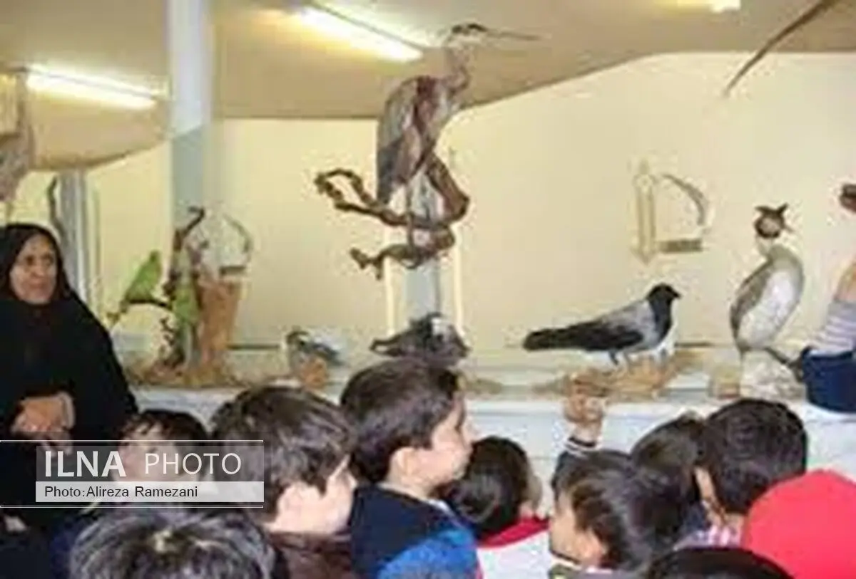 اجرایی‌شدن‌طرح آموزش مبانی‌زیست‌محیطی با مشارکت اداره بهزیستی و محیط زیست گیلان