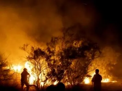 تاریکی هوا عملیات اطفای حریق در جنگل مرزن‌آباد چالوس را متوقف کرد؛ آتش همچنان ادامه دارد