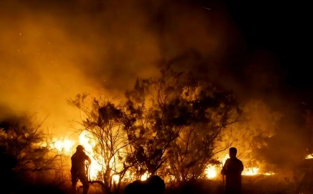 تاریکی هوا عملیات اطفای حریق در جنگل مرزن‌آباد چالوس را متوقف کرد؛ آتش همچنان ادامه دارد