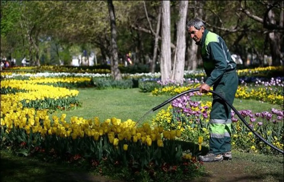 حوزه فضای سبز مشهد عملکرد مناسبی نداشته است/تقویت نظارت بر خدمات  این حوزه شهری