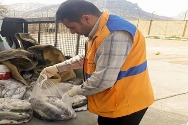 معدوم سازی بیش از ۳۴ تن مواد غذایی غیرقابل مصرف در حوزه دانشگاه علوم پزشکی آبادان