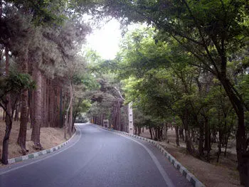 حقابه پارک چیتگر برای آبیاری درختان مجدد وصل شد