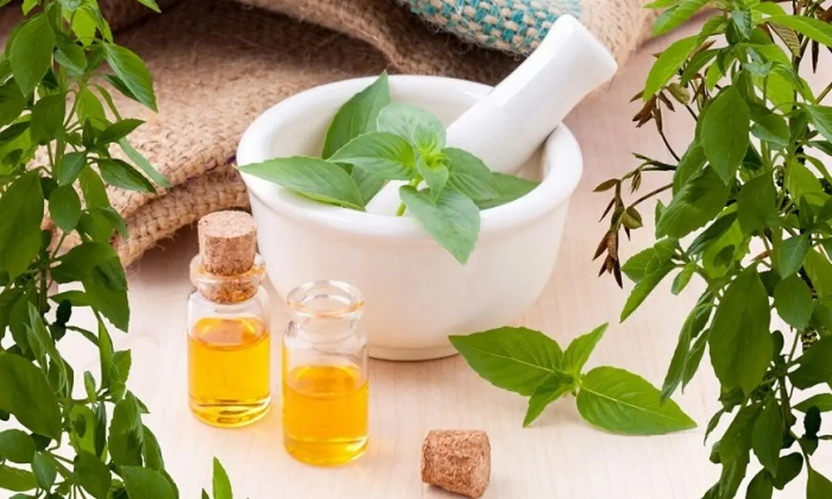 ریحان؛ گزینه‌ای طبیعی برای دفع پشه 