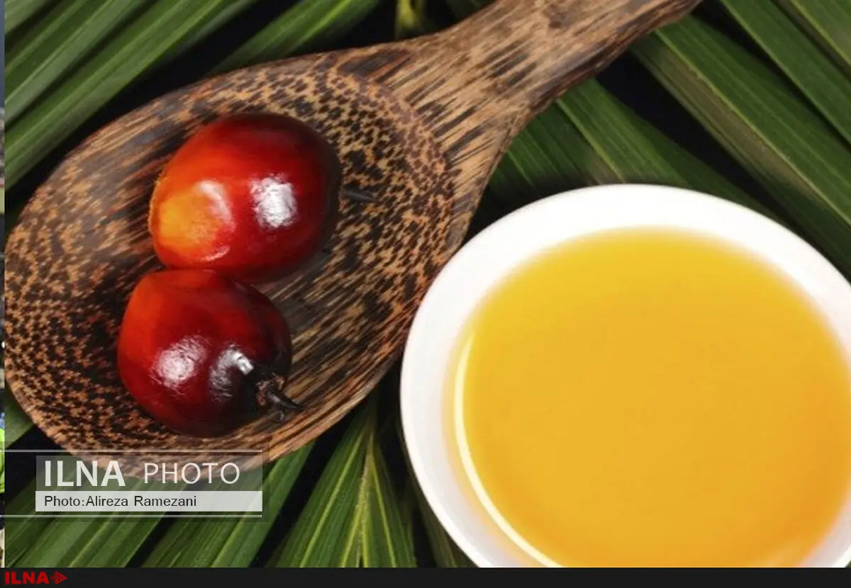 روغن پالم وارداتی از جنوب شرقی آسیا با ترانس بالای 50 درصد مشکل‌ساز است