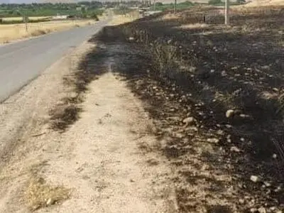 عابر بی احتیاط اراضی کشاورزی بیضا را به آتش کشید