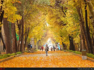 پاییز در اصفهان