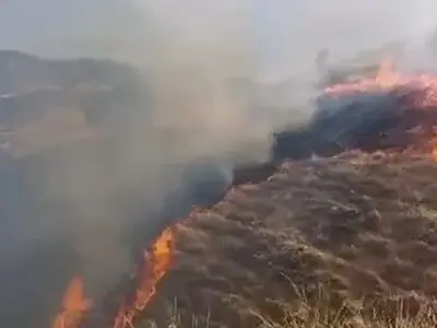 بیش از ۵۰ هکتار از جنگل‌ها و مراتع منطقه شلالدون باشت طعمه حریق شد + فیلم
