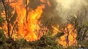 هشدار آتش سوزی در جنگل‌ها و مراتع گیلان