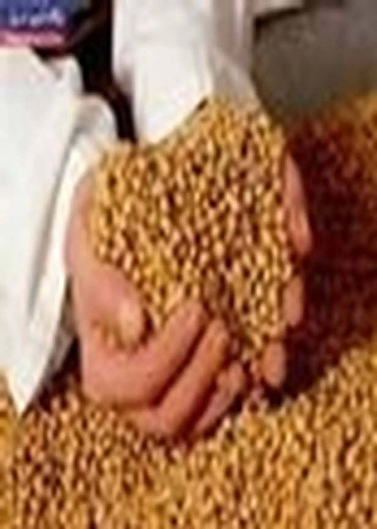 تأمین و توزیع بیش از ۴۷ هزار تن انواع نهاده های کشاورزی در مازندران