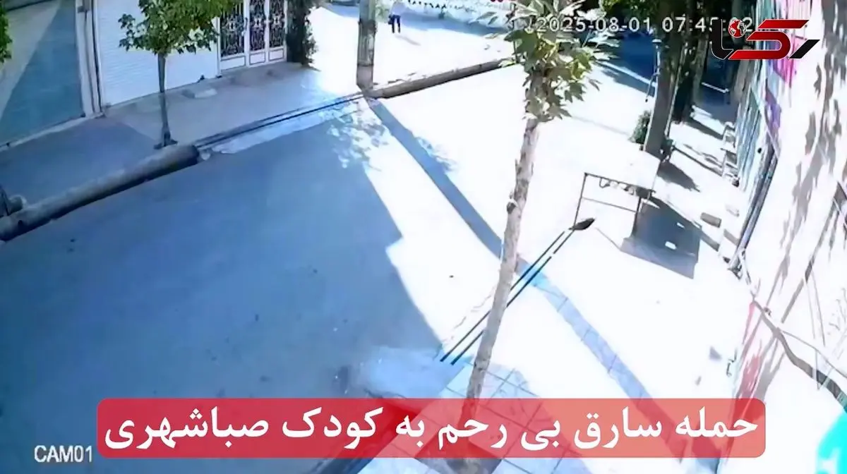 حمله خونین به کودک خردسال در صباشهر + فیلم