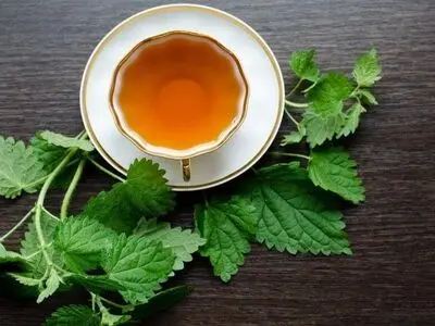 دمنوش‌هایی که باعث می‌شود هنگام روزه‌داری تشنه نشوید