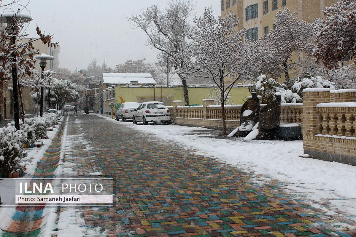 برف‌تکانی درختان در شرایط اضطراری انجام می‌شود