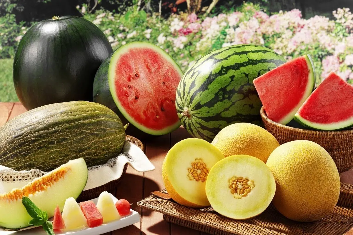 میوه‌های رسیده مصرف کنید
