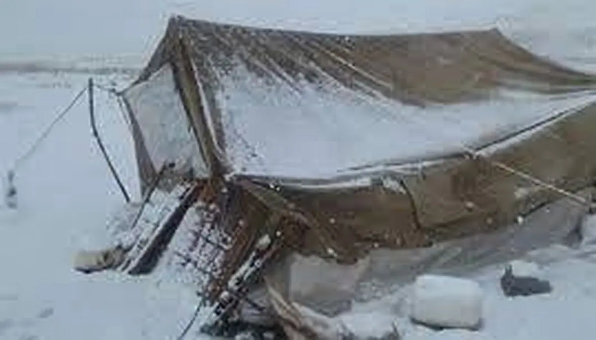 احتمال  مرگ 8 نفر  و ۴۰۰ دام عشایری چُرام بدلیل بارش شدید برف/ تا اتفاق تلخی رخ نداده چاره ای بیندیشید