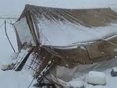 احتمال  مرگ 8 نفر  و ۴۰۰ دام عشایری چُرام بدلیل بارش شدید برف/ تا اتفاق تلخی رخ نداده چاره ای بیندیشید