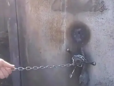 گاو صندوقی که در آتش سوزی مهیب لس‌آنجلس آسیب چندانی ندیده و وسایل داخلش سالم مانده است + فیلم