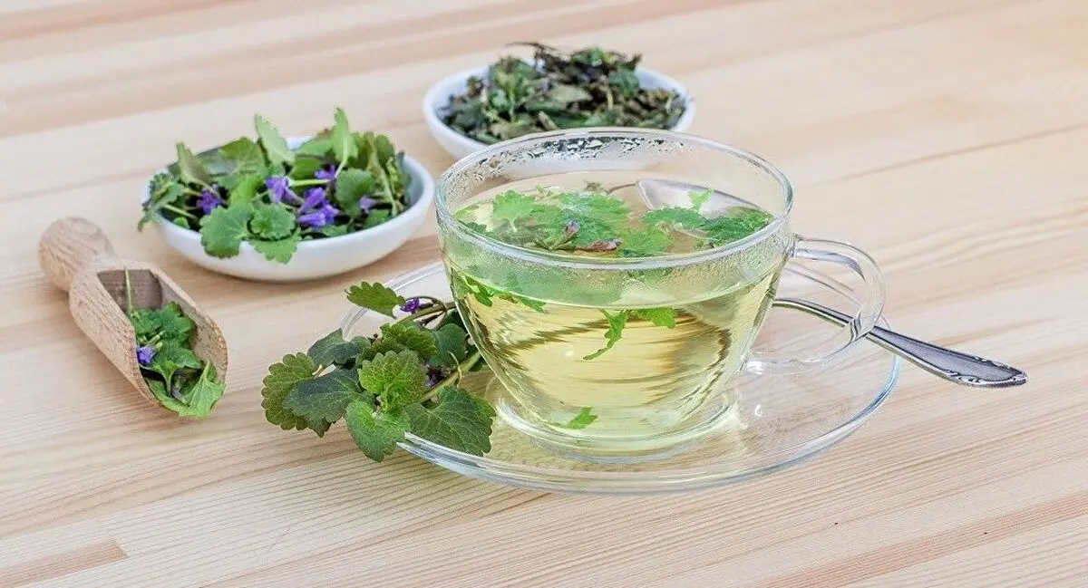 دمنوش های زمستانی چه خواصی دارند؟ + عکس
