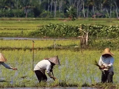 سیاست‌های مالزی برای ممانعت از خروج نیروی کار از این کشور/ استرالیا به دنبال کارگران آسیایی