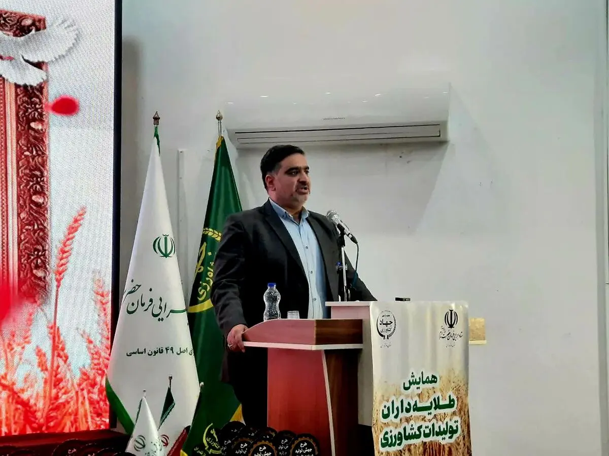 جهش تولید در مازندران؛ گامی نو در کشاورزی دانش‌بنیان و خودکفایی ملی/ آغاز طرح جهش تولید در شالیزارها