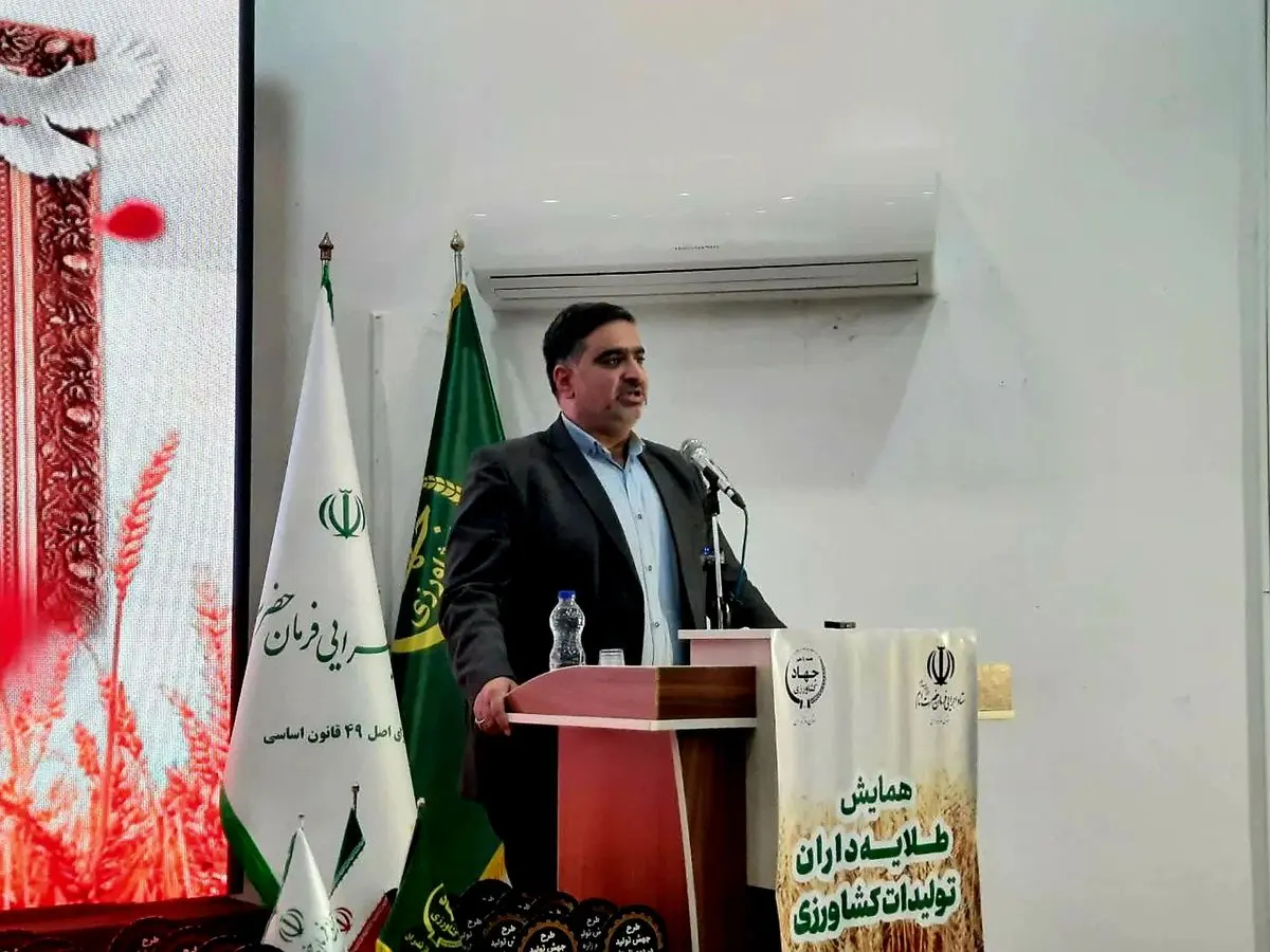 جهش تولید در مازندران؛ گامی نو در کشاورزی دانش‌بنیان و خودکفایی ملی/ آغاز طرح جهش تولید در شالیزارها