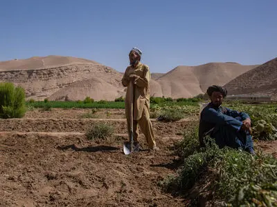 نزول جایگاه ایران در تجارت با کابل/ سختگیری‌ها مانع کشت فراسرزمینی در افغانستان می‌شود