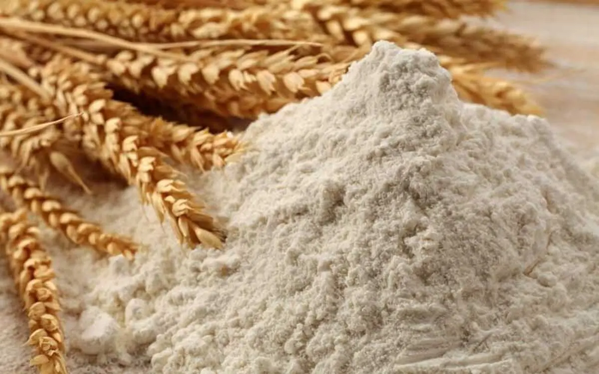 ظرفیت ذخیره سازی آرد به 25 میلیون رسیده است / ترکیه، روسیه و ازبکستان خلا صادراتی ما را پر کردند