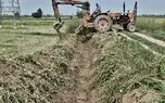 آغاز نوسازی شالیزارهای سورک با اجرای ماده ۳۳ برنامه هفتم