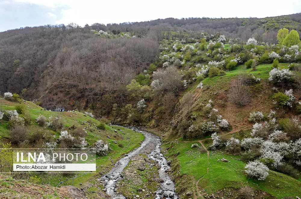 طبیعت بهاری رودبار گیلان