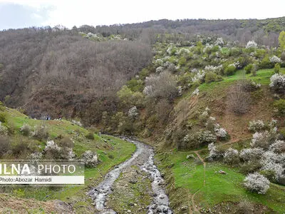 طبیعت بهاری رودبار گیلان