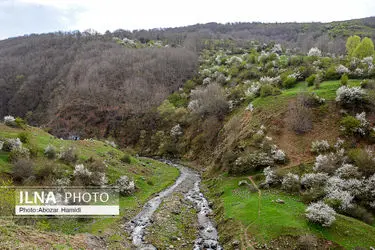 طبیعت بهاری رودبار گیلان