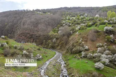 طبیعت بهاری رودبار گیلان