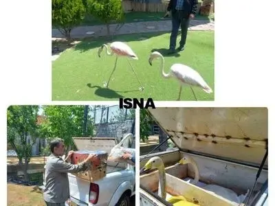 asdasd