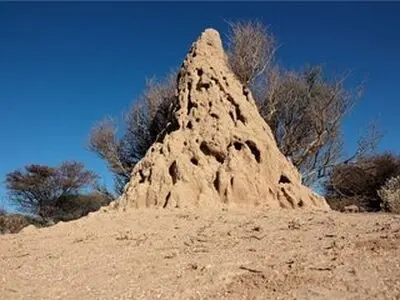 کشف قدیمی‌ترین خانه جهان به قدمت ۳۴ هزار سال